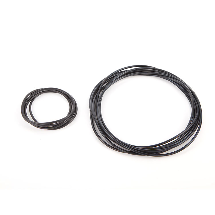 O-ring di gomma fluoro
